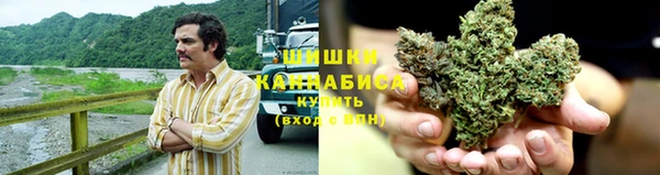 трава Армянск