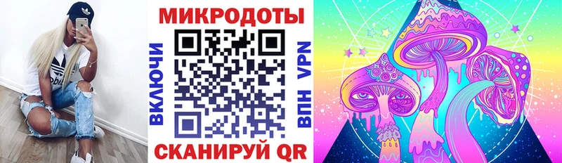 Галлюциногенные грибы Psilocybine cubensis Пущино