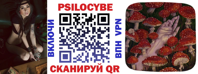 MEGA маркетплейс  продажа наркотиков  Пущино  Галлюциногенные грибы Psilocybine cubensis 